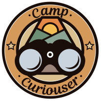 Camp Curiouser
